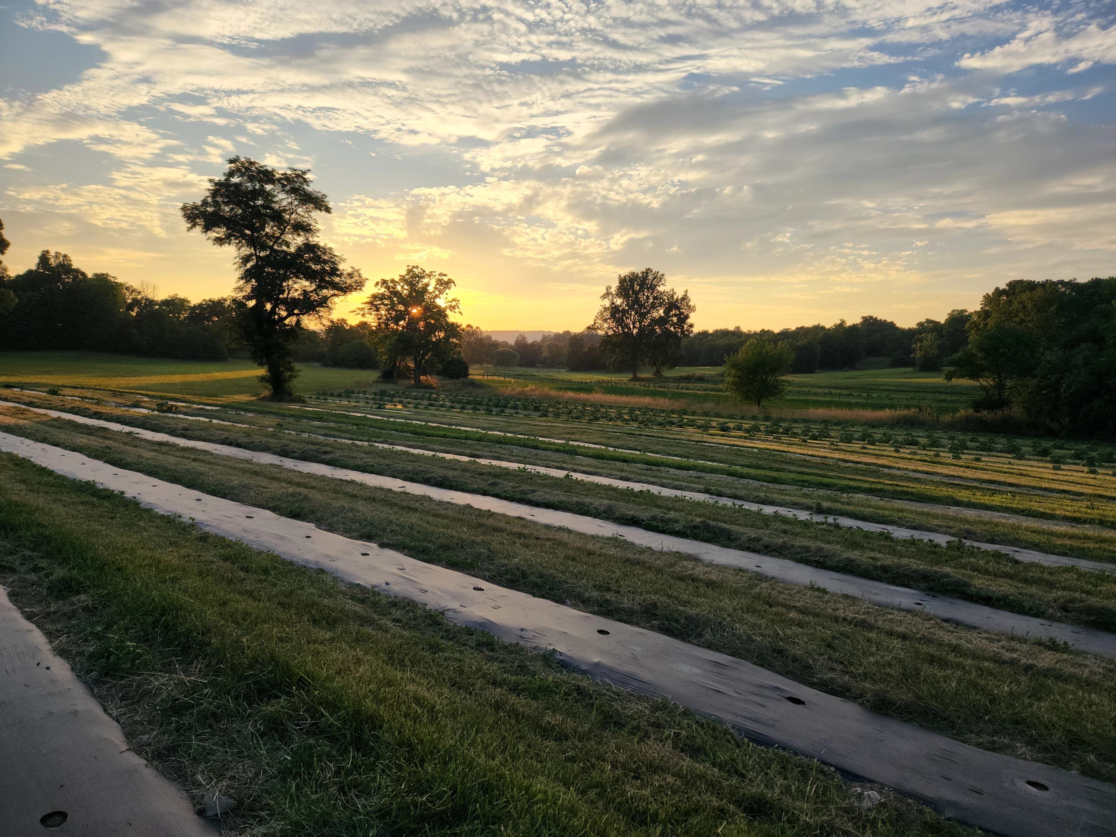 Seasonal Hero Backdrop